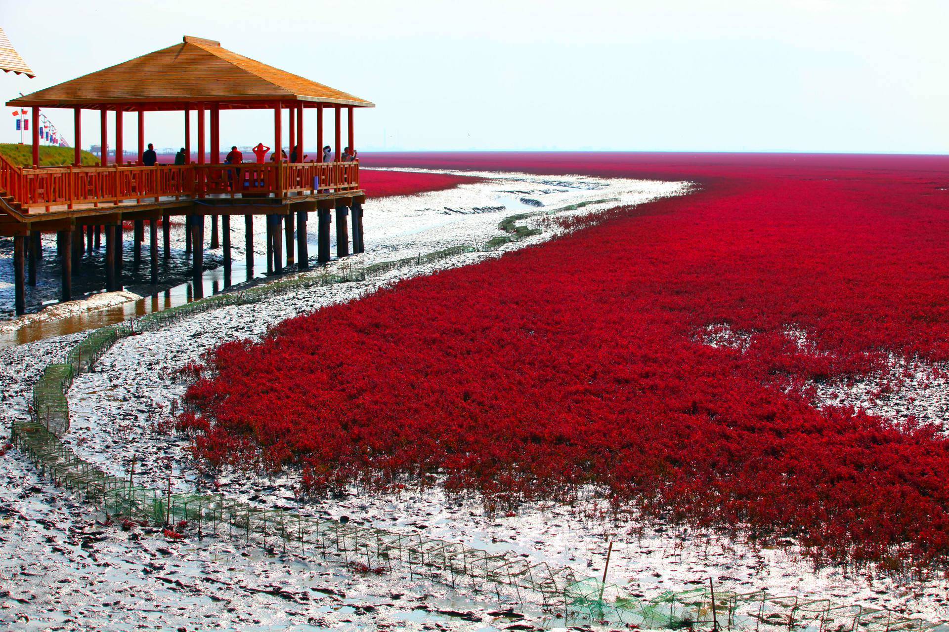 红色的绝景!眼前所展现的世界都是一片火红色!