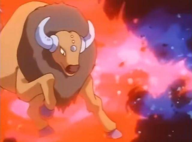 宝可梦被放养还是勇往直前小智最努力的宝可梦30只肯泰罗