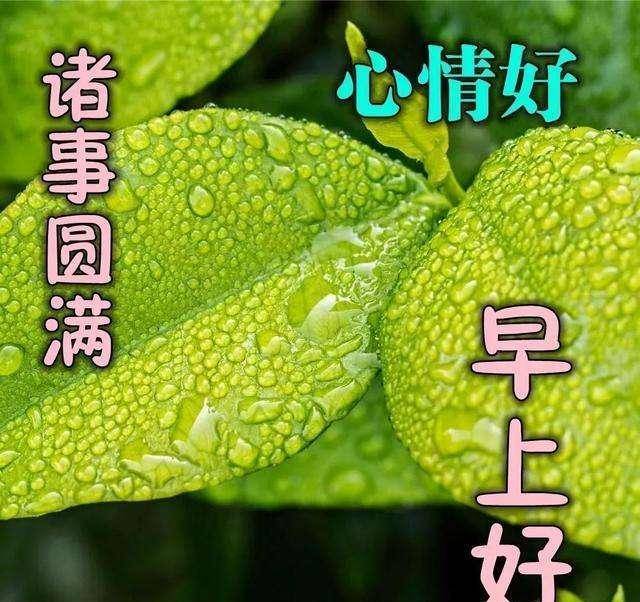 最新版早安溫馨祝福句子早上好問候語最美圖片精選