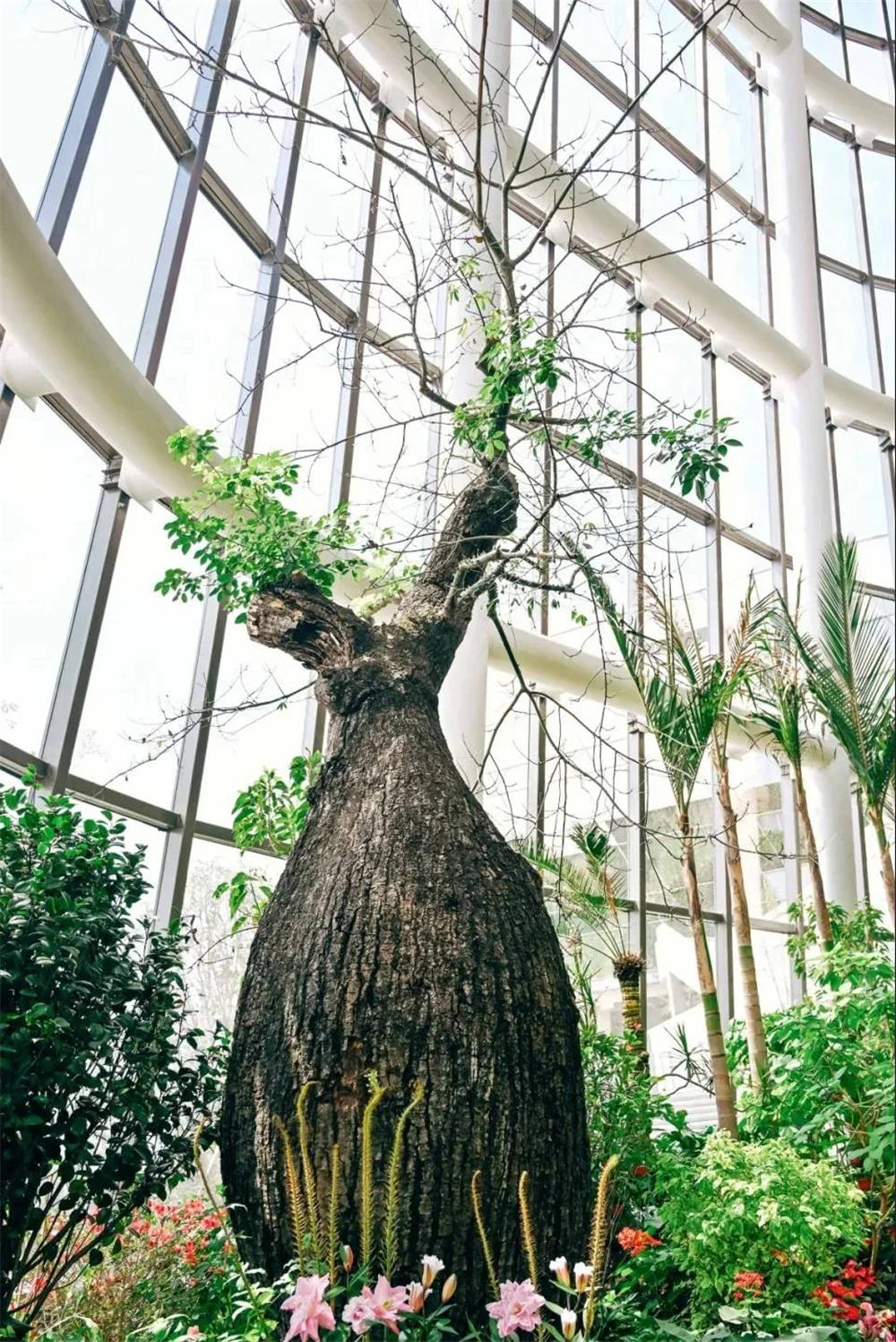 位于商场南边的生态植物园内,南翔印象城mega则是携手英国艺术家luke