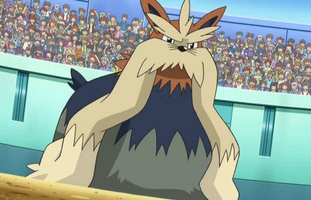 《宝可梦》纯一般属性的长毛狗,为何经常会被定位为天气手?