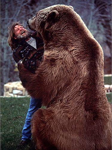 棕熊老大哥科迪亚克棕熊超1600斤为世界最大人类外无对手