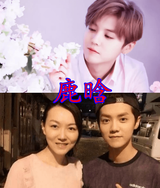 王源的妈妈鹿晗的妈妈范丞丞的妈妈看到黄子韬不得了