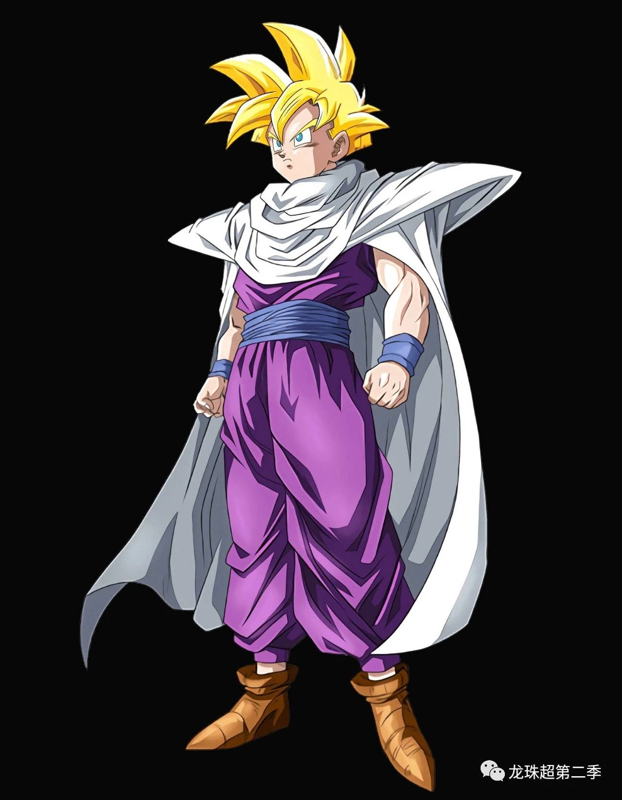 龙珠图集:悟饭专辑,最强潜力战士