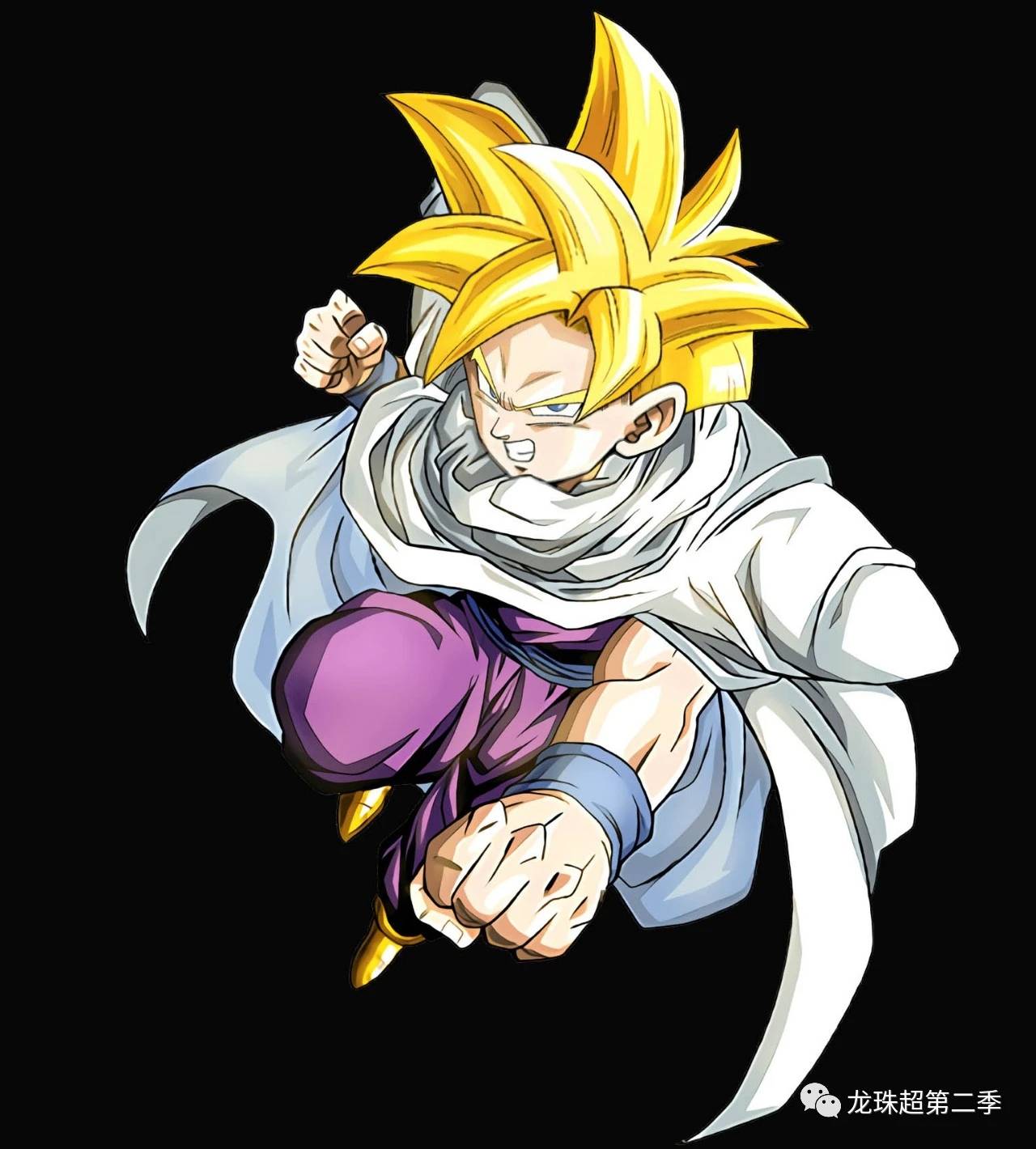 龙珠图集:悟饭专辑,最强潜力战士