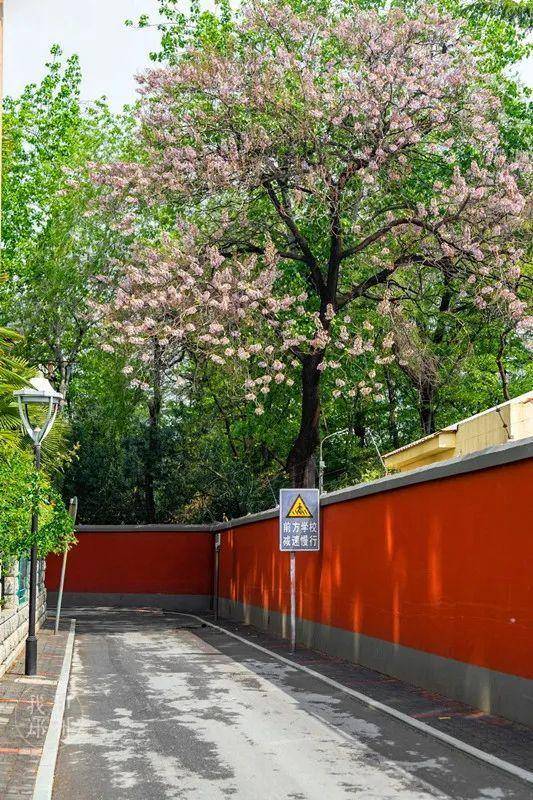 豫"见不一样的郑州听这里的居民说,百花里名字是随着对面的百花路叫的