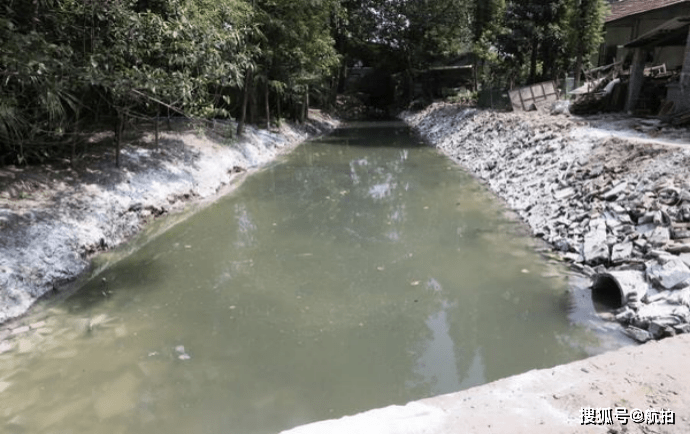 河道水质巡查新应用多光谱感无人机遥感成果快速实现水体分级污染建模