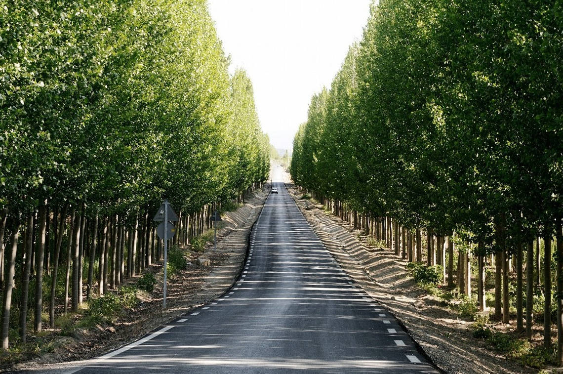 原创人生的路在哪里其实就在你的心里