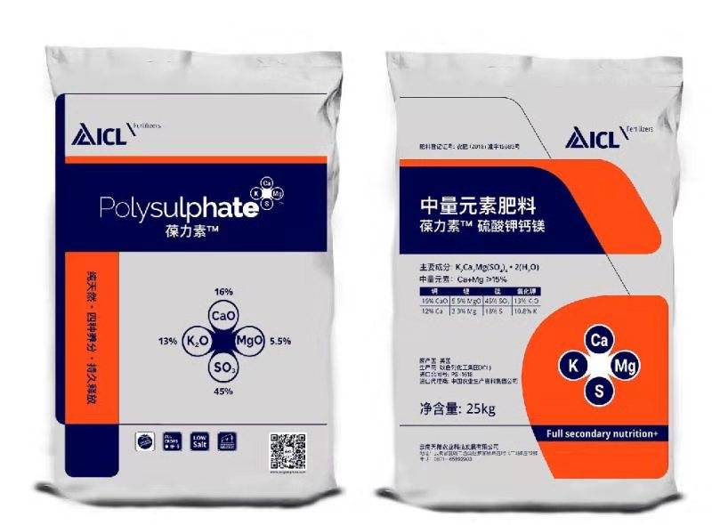 如何提高番茄品质_就用葆力素——云南天穗农业_作物