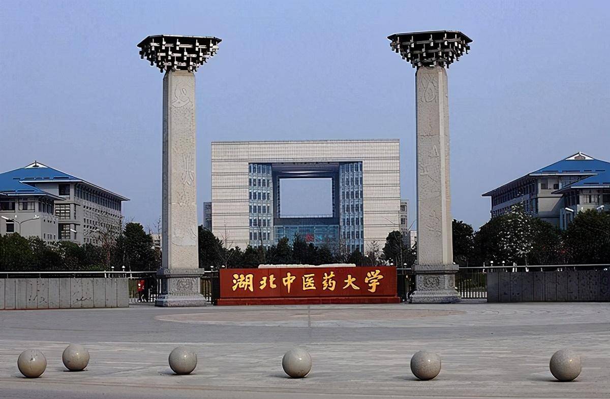 遵照父母的意愿报读了华西医科大学的杨宇,从医学专业毕业后却干起