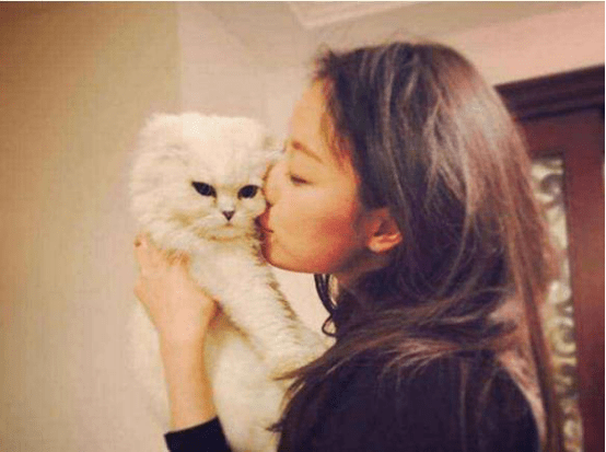 娱乐圈养猫的女明星颜值都很高!