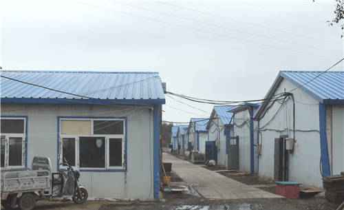 黑龙江省嫩江市多宝山镇盘龙山村多元化发展助脱贫_手机搜狐网