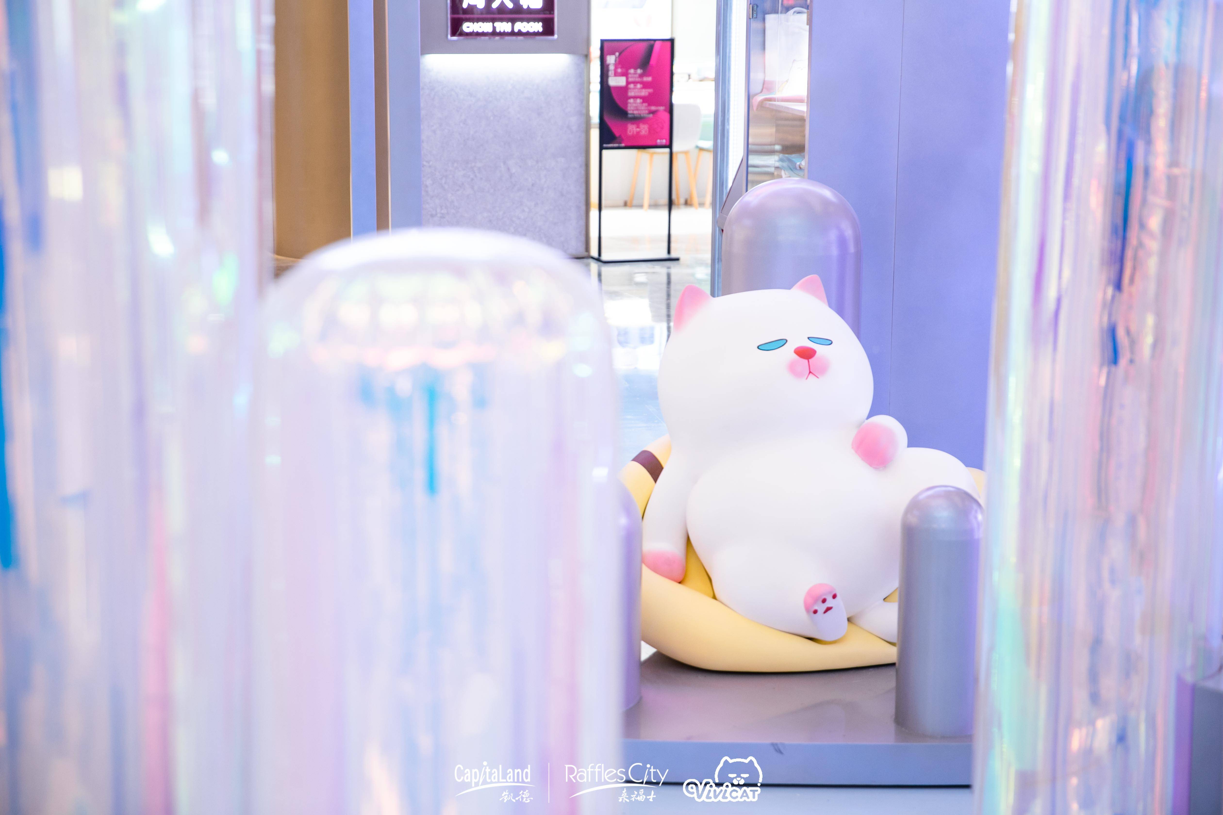 vivicat华东首展邀大众共赏极光沐浴