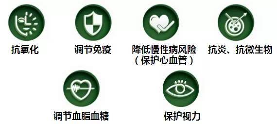 soberme植物发酵饮料酵醒健康原动力