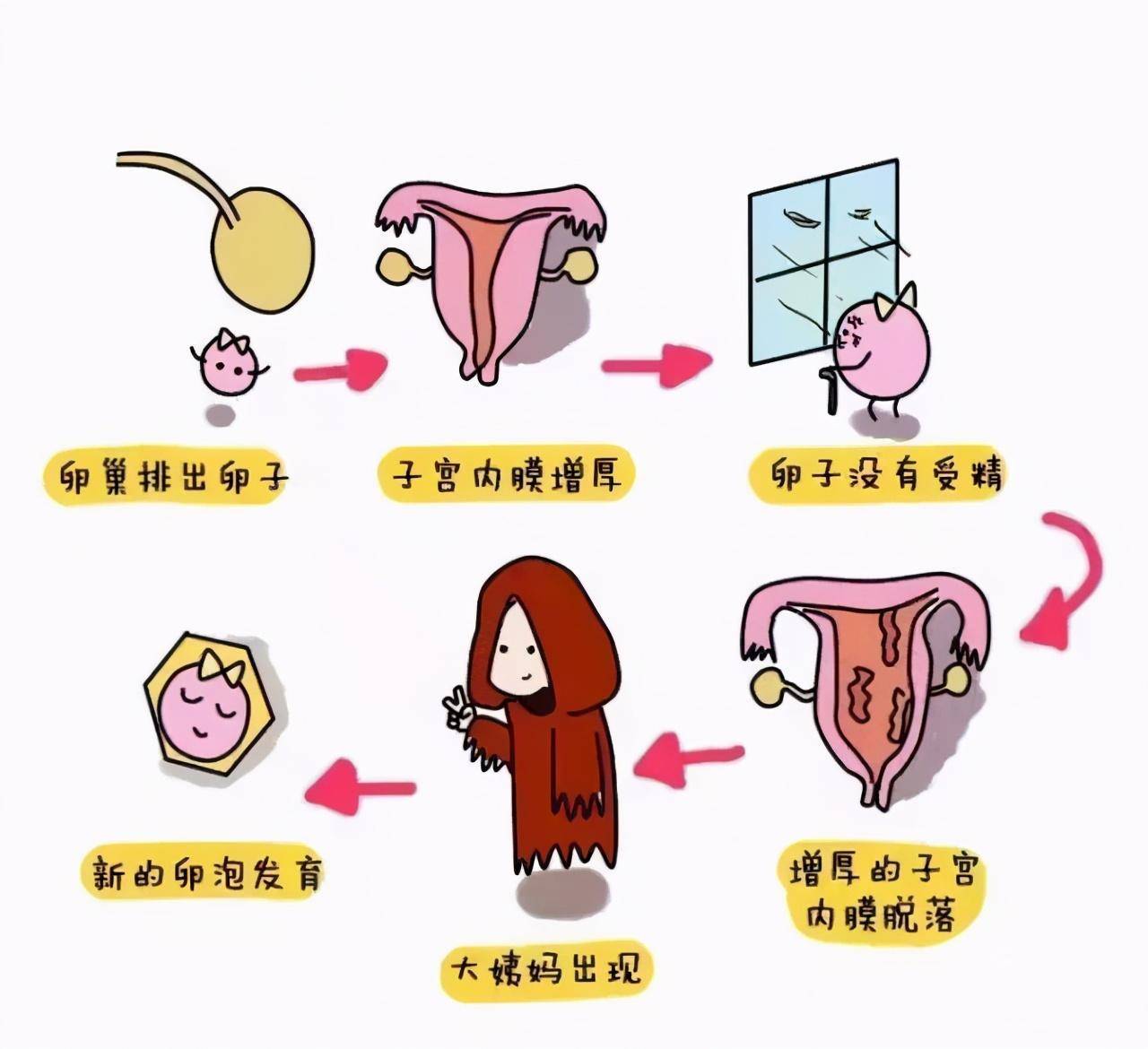 备孕趁早知道!牢记这4个技巧,"好孕"早日来到!_子宫