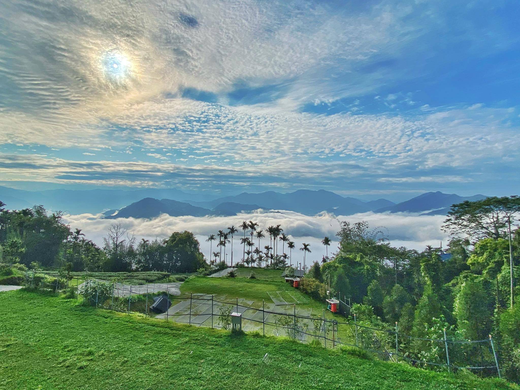 嘉義隱藏版玩法梅山這樣玩超有回憶點景緻美到仙誰還不是森林小精靈