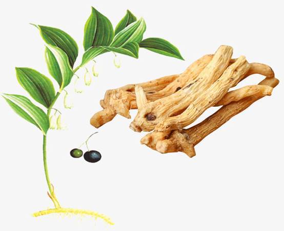玉竹的主要作用及中医食疗方_鸡块