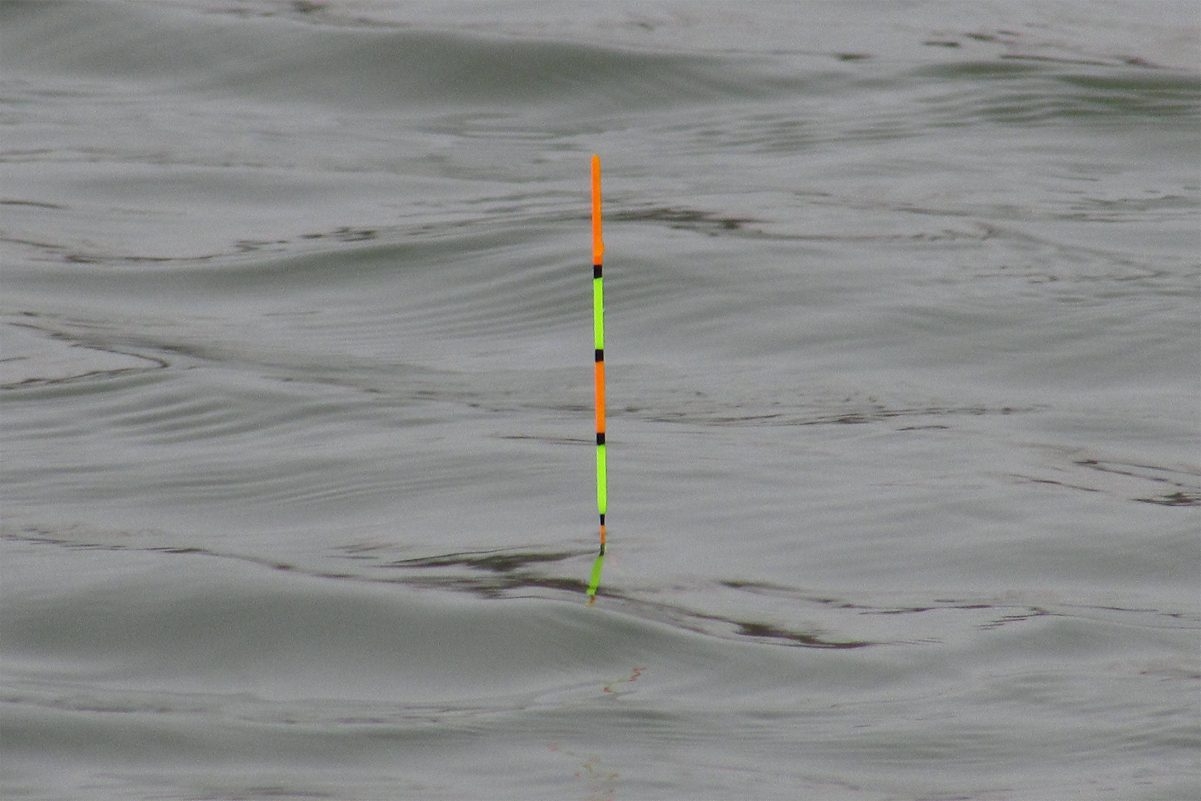 钓鲤鱼如何调漂钓滑口鲤鱼如何调漂钓鲤鱼的调漂技巧