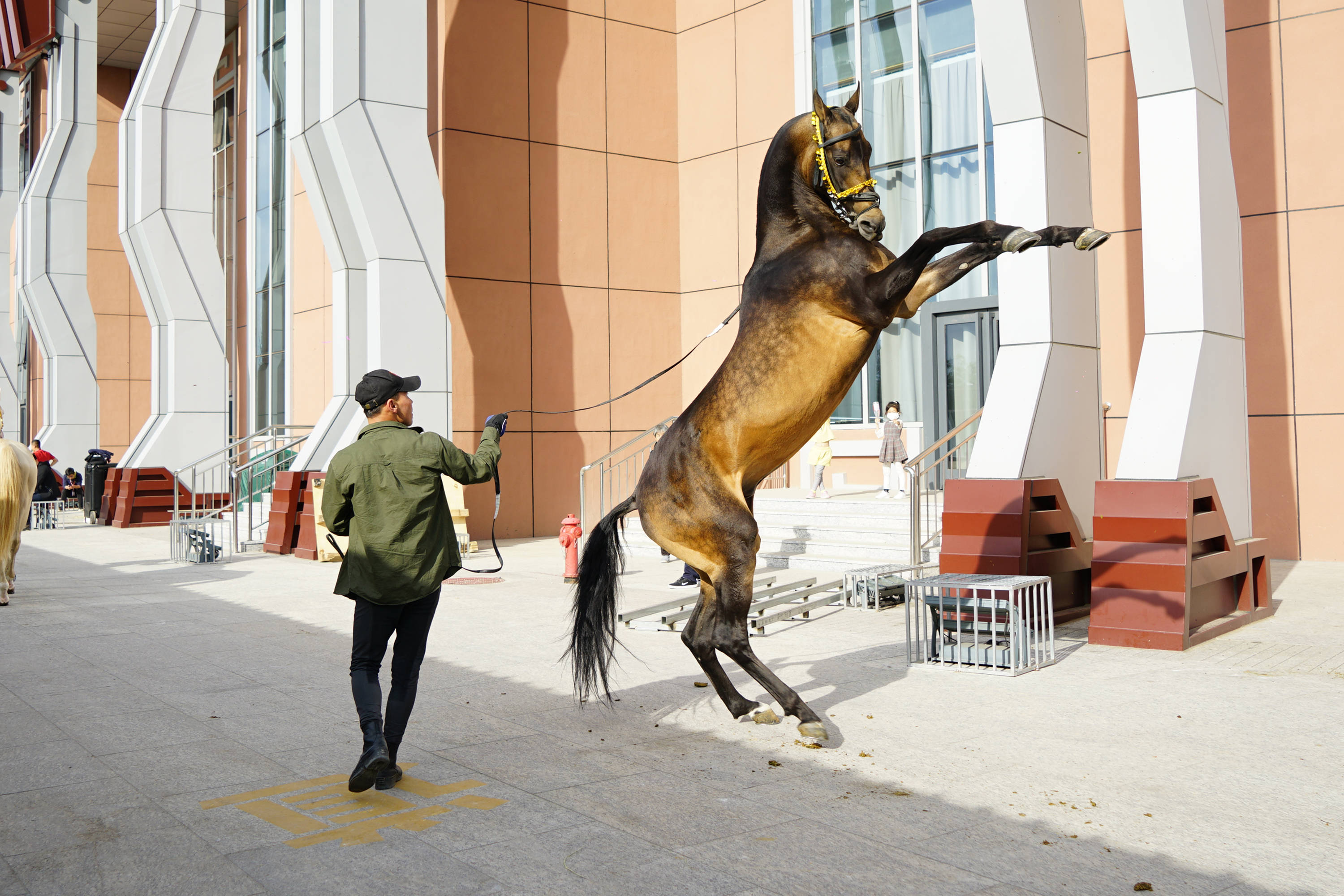这个国庆河北惊现一座中国马城还留下了汉光武帝刘秀的足迹