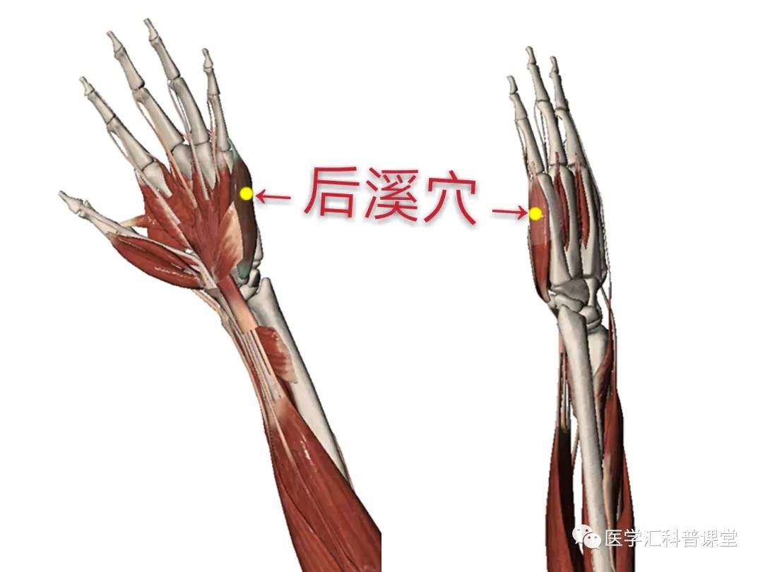 经常手抖该怎么缓解?_后溪