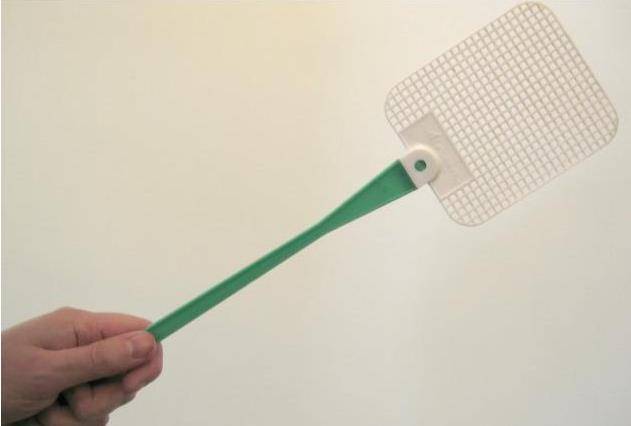 原创徒手捉苍蝇技巧为什么手很难拍到苍蝇用苍蝇拍却容易