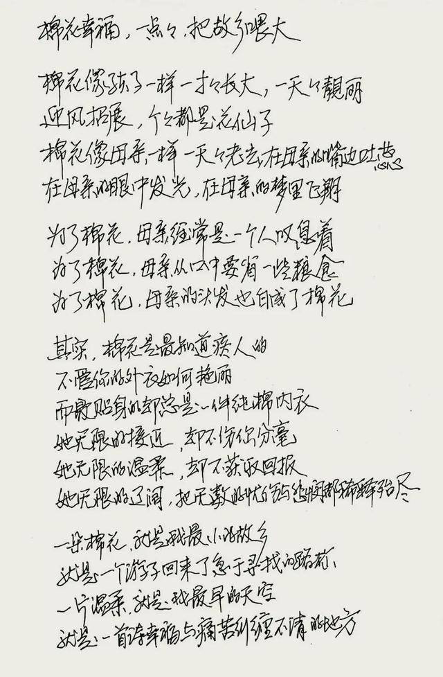 用暗藏的发白的火焰,温暖着我棉花一样的母亲,通过一件棉衣从容与谦卑