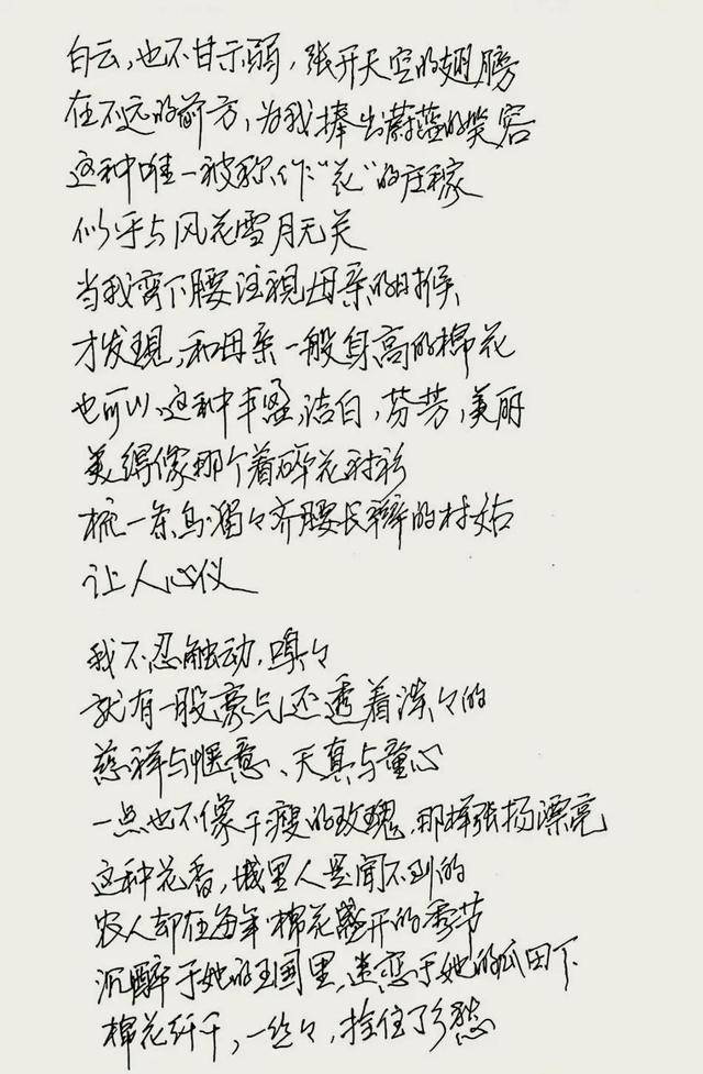 用暗藏的发白的火焰,温暖着我棉花一样的母亲,通过一件棉衣从容与谦卑