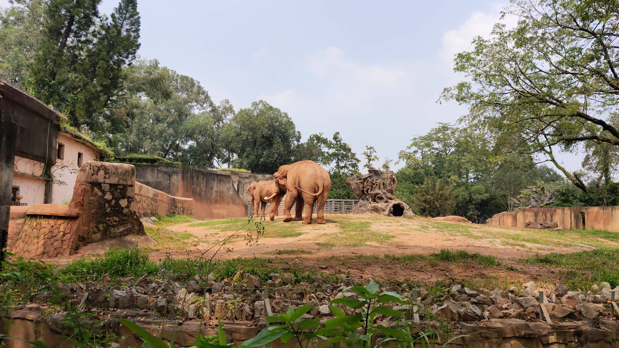 双节长假游览广州动物园每天三万人流量控制游客热情不减