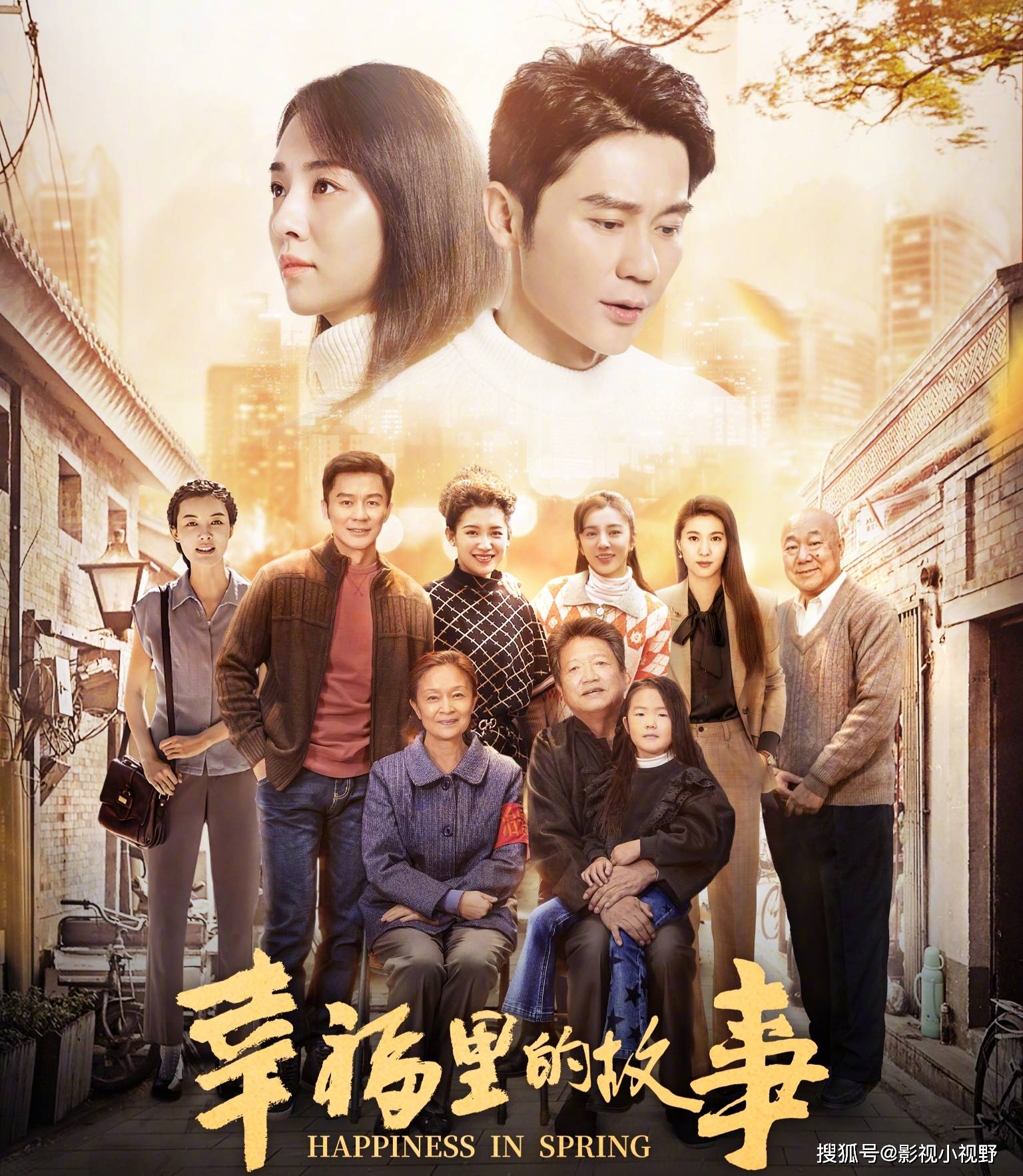 搜狐电视剧剧情介绍(搜狐电视剧剧情介绍大结局)
