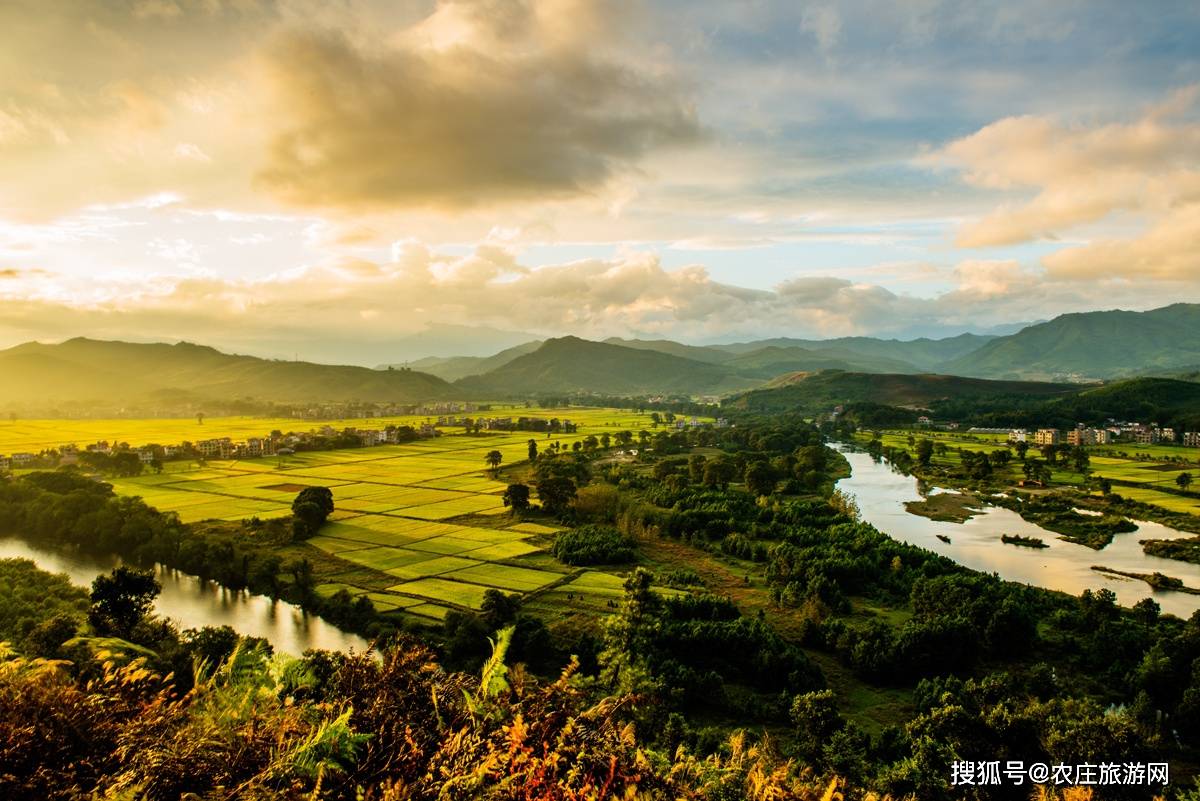 江西省安福县带您欣赏金色沃野的生态美