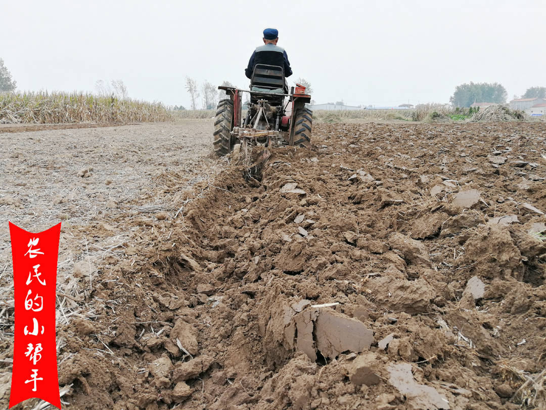 原创种植小麦有人说犁耕好有人说旋耕好到底哪种最适宜