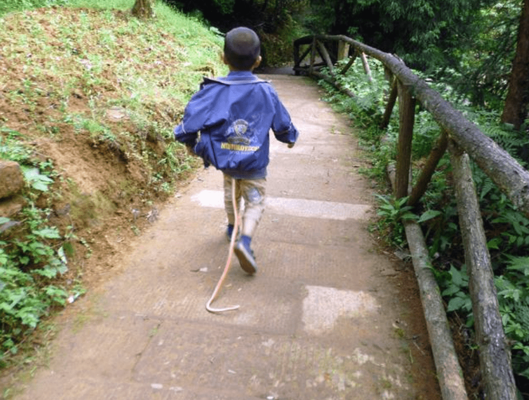 初生牛犊不怕虎,兄妹俩捅马蜂窝被蜇成猪头,爸妈:没忍住笑出声