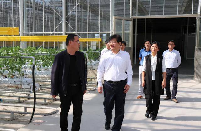 「江苏绿港」镇江新区管委会薛峰主任一行赴江苏新港农业调研_生活