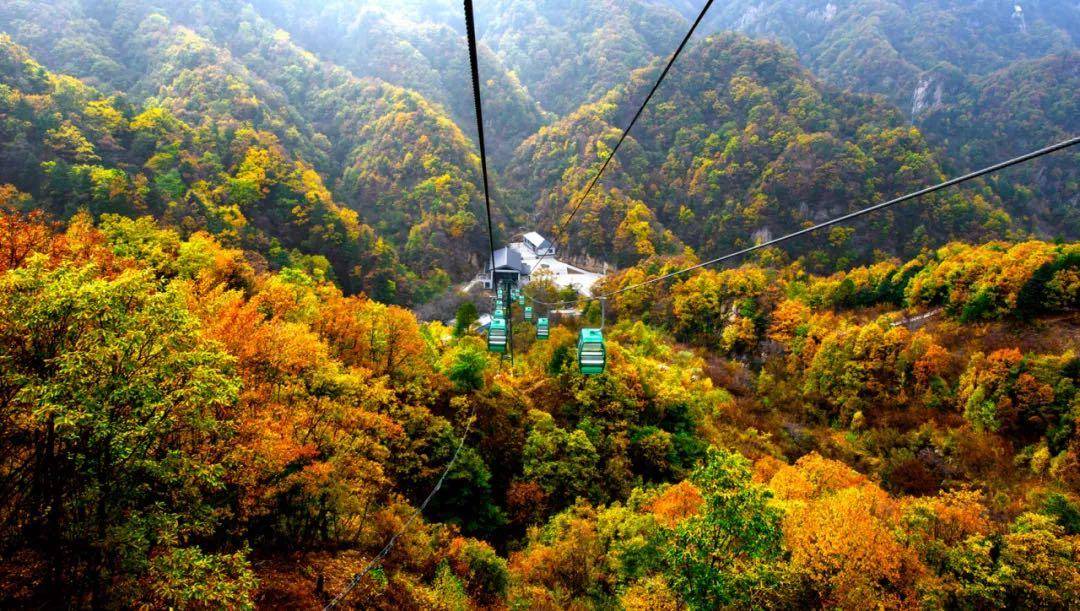 河南秋季必去的四大景點紅葉滿山景美好玩有的還免門票