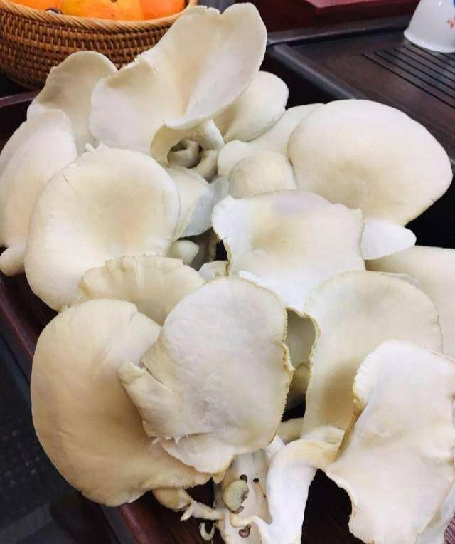 多种上几个蘑菇的菌棒,一个月能采收好几斤,足够你吃了.
