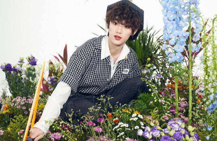 网传春日酱拟邀嘉宾六位全是美少年颜狗们的天堂来了