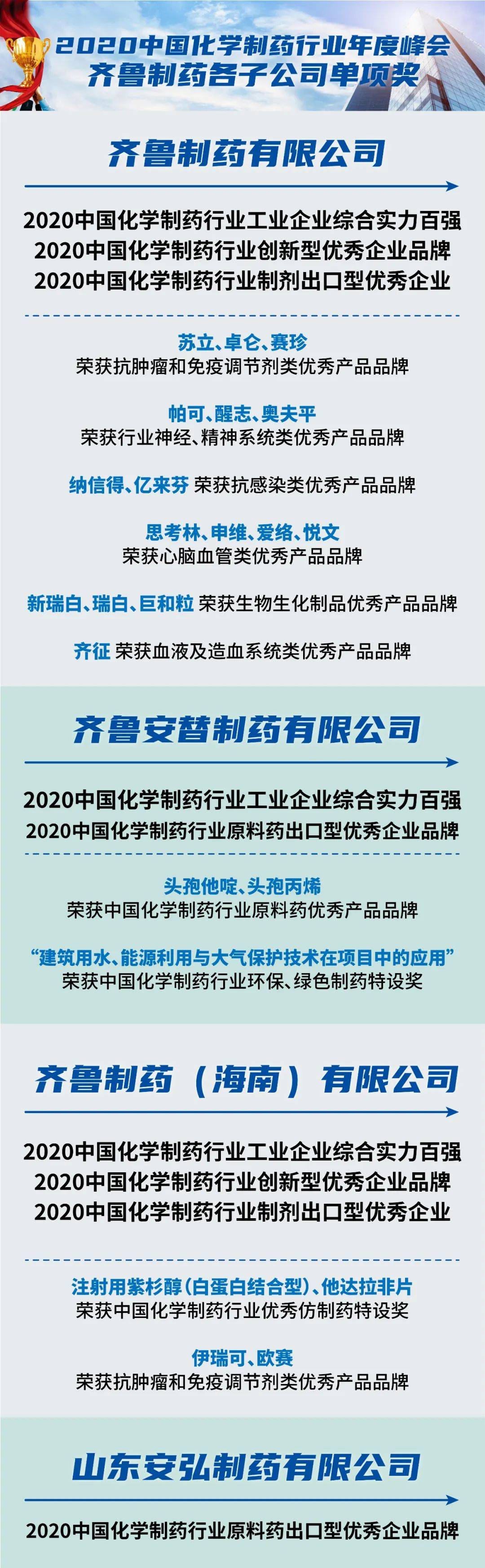 行业企业集团十强;集团旗下齐鲁制药有限公司,齐鲁安替制药有限公司