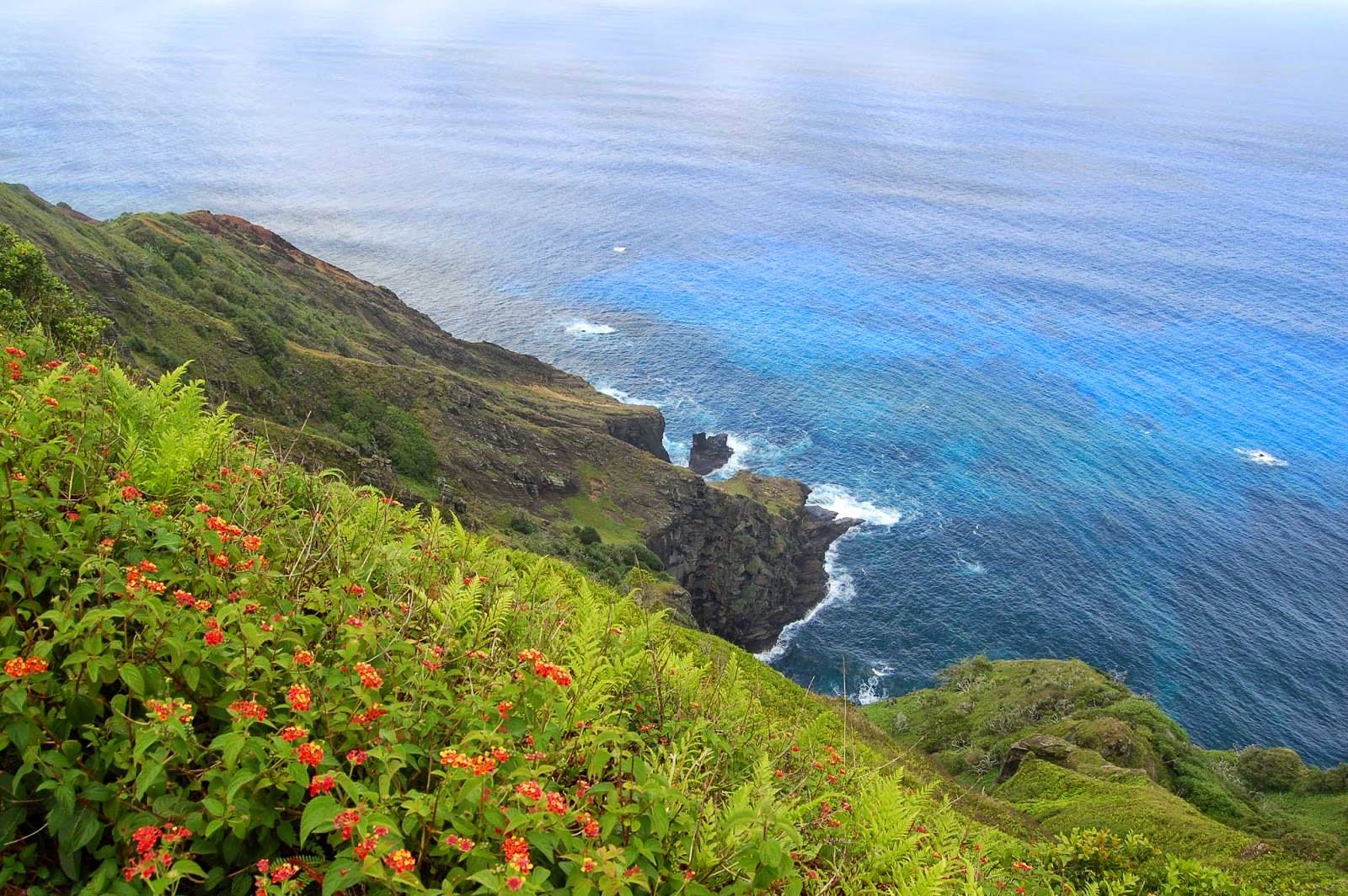 1男10女的荒岛人口两次破200人如今只剩下56个人生活