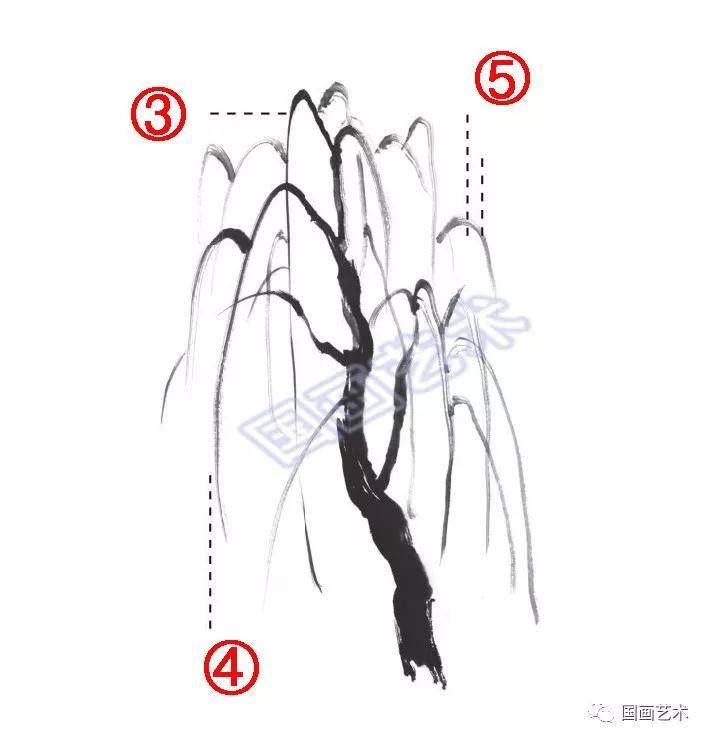 國畫柳樹的入門畫法技法詳解,柳樹畫法進階教程