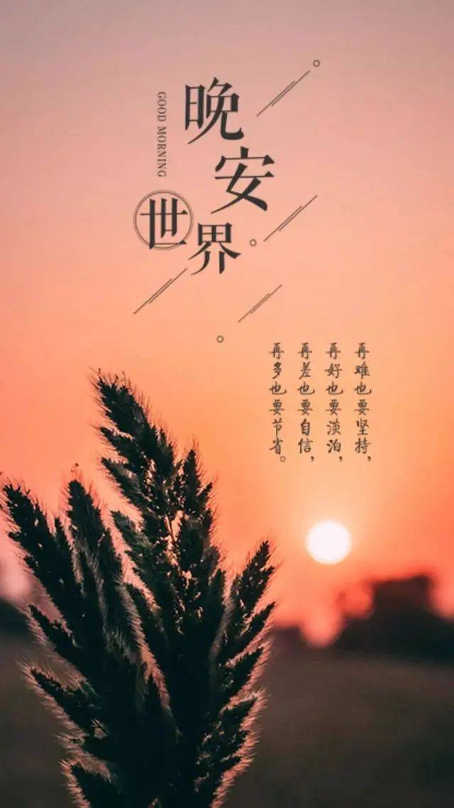 晚安心语说说心情语句:我没有深情再让你辜负了