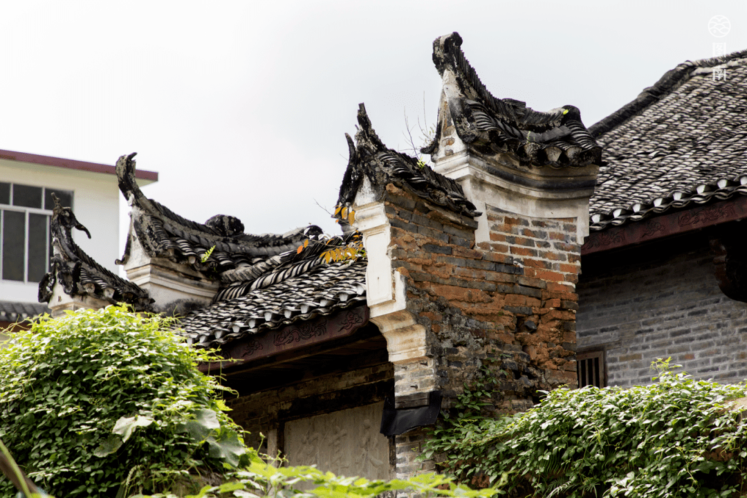 图南写生季汇总|仲秋拾锦 收获好时节