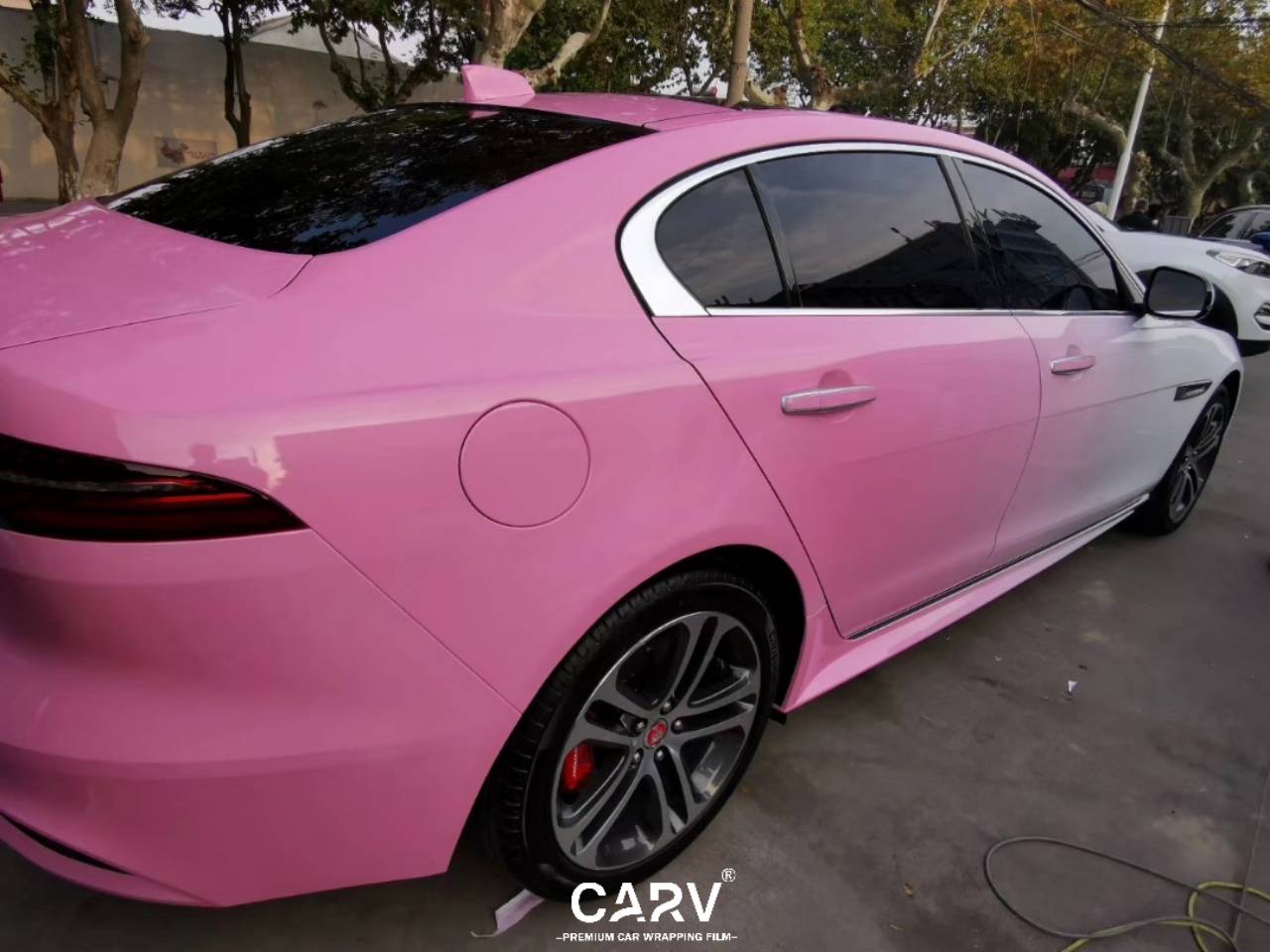 捷豹xel 定制白渐变粉彩绘-搜狐大视野-搜狐新闻