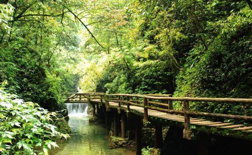 四川"第一"名山,被称为五岳的"老丈人",距离成都68公里_手机搜狐网
