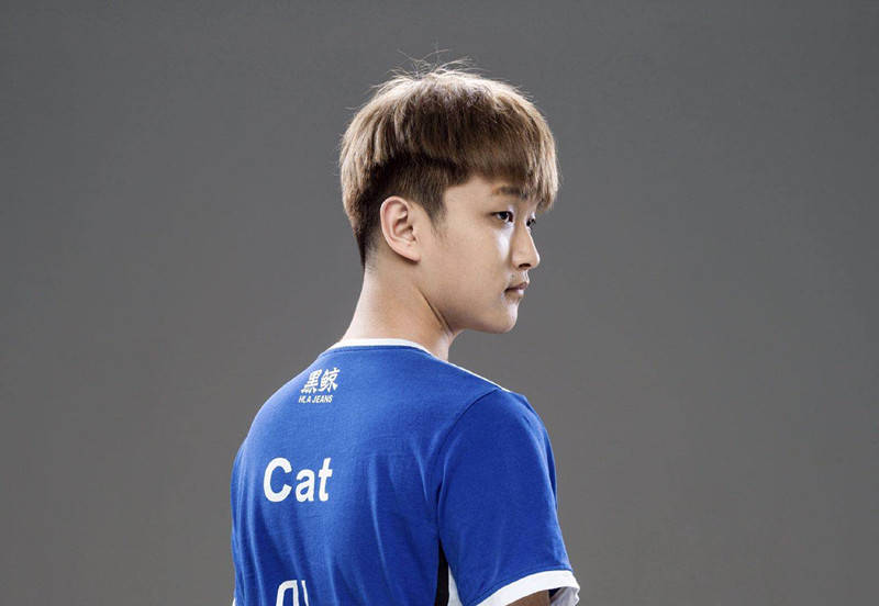 kpl:青春回来了!猫神自组训练赛,邀请前教练gemini帮忙bp