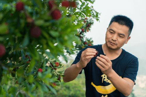 鲜丰水果董事长韩树人获第六届"品质杭商"称号