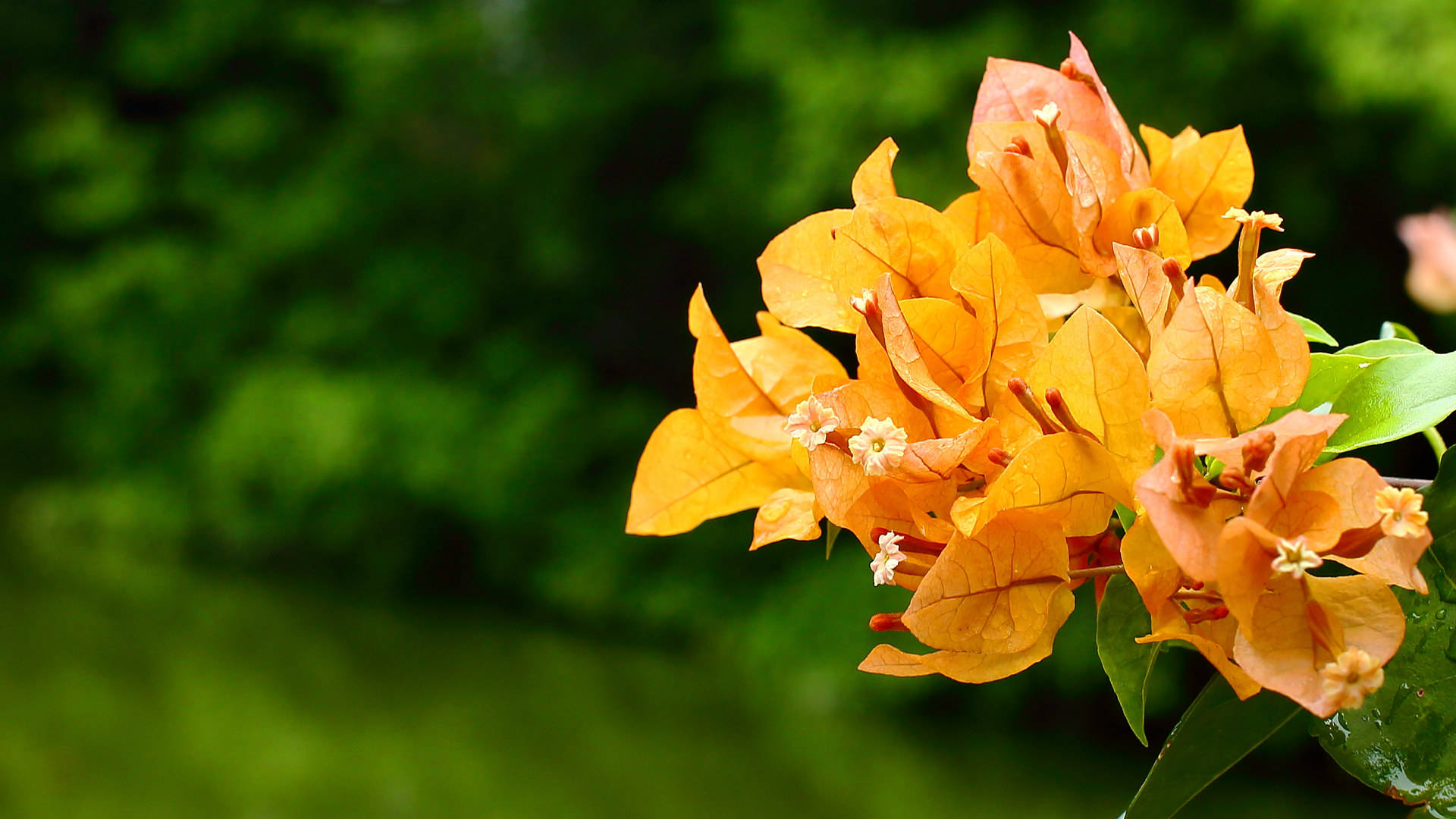 10月25日星座运势:与时俱进,换位思考的四大星座