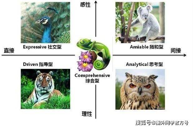 pdp测试法,从5种动物看老板的行事风格匹配相处模式,你学会了吗?