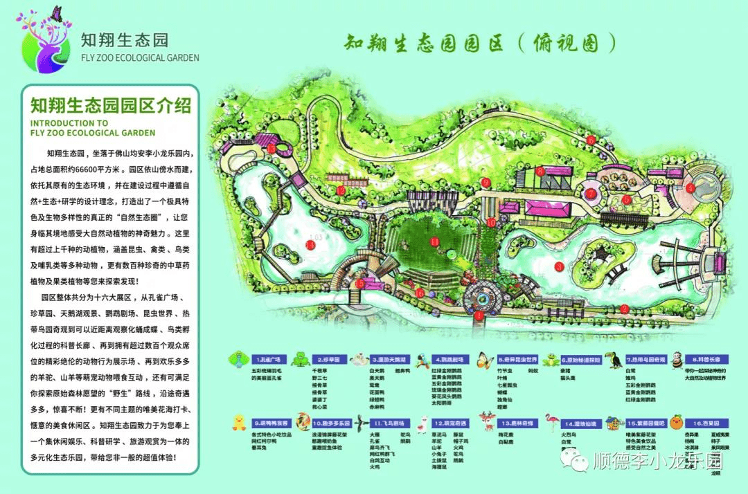 李小龙乐园:亲近大自然 走进动物园_手机搜狐网