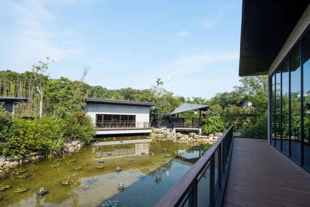 沉醉山水间自然古朴苏州裸心泊度假村金螳螂匠心之作