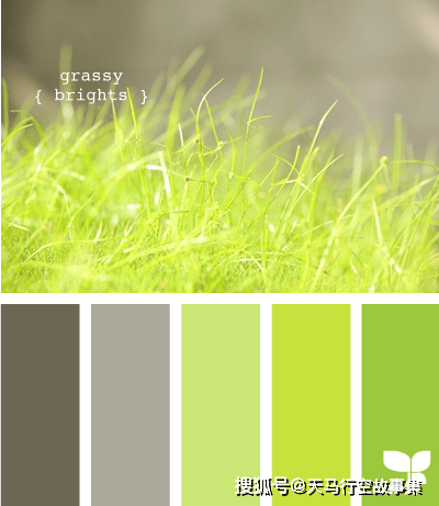配色方案色彩搭配大全春天篇
